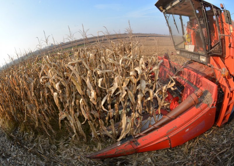 Što će reći ratari: Europska komisija odobrila čak tri GMO kukuruza u Europi