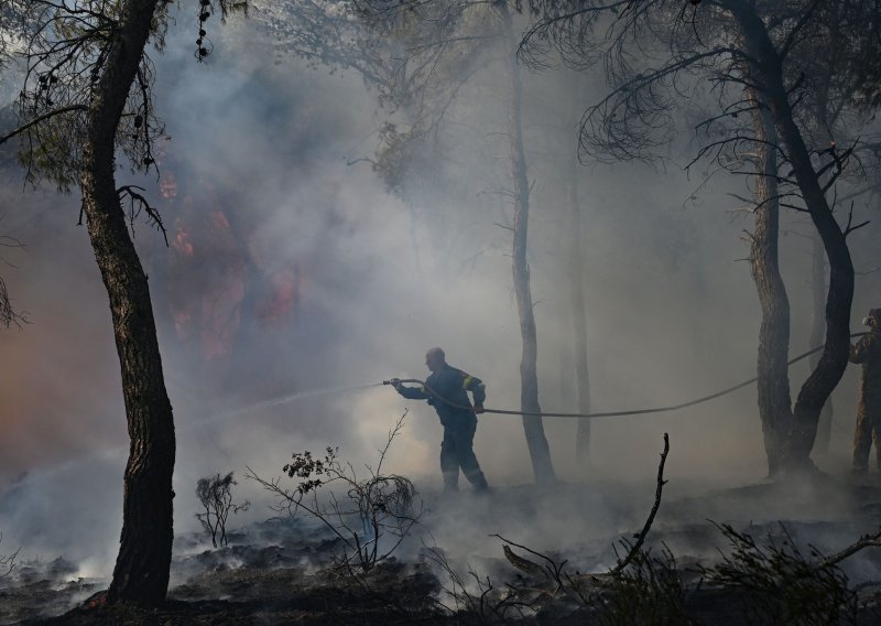 Apokaliptični šumski požar u Grčkoj spalio područje veće od New Yorka