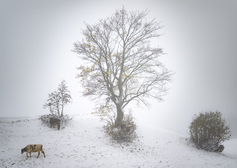 Stigla zima: Švicarska pod bijelim pokrivačem, snijeg i u Gorskom kotaru