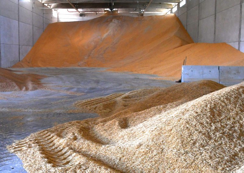 Poljska otkupljuje viškove žitarica od domaćih poljoprivrednika
