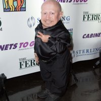 Verne Troyer