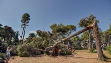 [FOTO/VIDEO] Pogledajte kako izgleda Zadar nakon nezapamćenog nevremena koje ga je poharalo