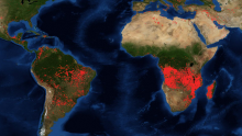 Svi bruje o vatrenoj Amazoniji, a ispod radara prolaze požari koji bukte u Africi. Podaci su alarmantni