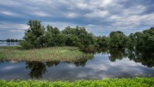 Stigli novinari, blogeri i fotografi iz Europe koji će otkriti čari Slavonije, Baranje, Srijema i Zagorja