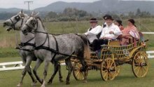 Slavonac u jednom danu na imanju ugostio 800 poslovnjaka