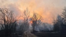 Ukrajinski vatrogasci peti dan zaredom bore se sa šumskim požarom kod Černobila