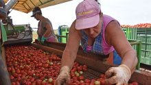 Nezaposlene treba poticati na sezonski rad u poljoprivredi