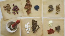 Hrvatska će izjednačiti homeopatiju s medicinom?!