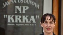 Ljiljana Zmijanović pristupila Škorinom Domovinskom pokretu