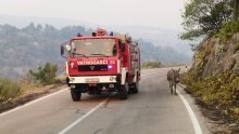 Požar na Braču lokaliziran: Vatrogasci ne ulaze u minski sumnjivo područje, no otkud mine na tom otoku?