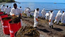 Ribari pokušavaju spasiti ozlijeđene dupine na Mauricijusu