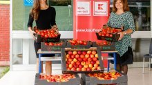 Kaufland ponovno donira voće i povrće za svježu školsku godinu