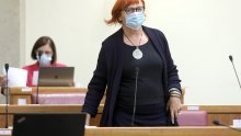 Zekanoviću problematično udomljavanje od strane istospolnih parova, Borić mu odgovorila da djeca žele da ih 'usvoji žirafa' umjesto da ostanu u domu