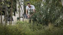 [FOTO] Igor Belamarić kirurg je za biljke koji spašava sve, od gospodskih vrsta do uličarki: U vrtu Bilih garantiram spektakl već iduće proljeće!