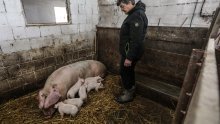 Vindija donira 16 tona stočne hrane stradalima na području Banije