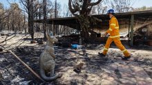 Vatrogasci stavili pod kontrolu požar kod Pertha, izgorjelo najmanje 81 kuća