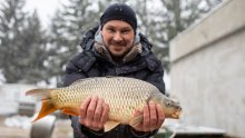 U fišu, perkeltu ili brudetu – vrijeme je za slatkovodnu ribu