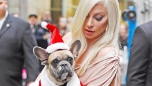 Hoće li biti dovoljno? Lady Gaga nudi nagradu od 3 milijuna kuna da joj vrate otete ljubimce