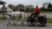 Konačno dobre vijesti za hrvatske seljake