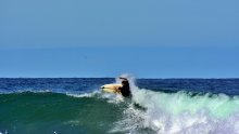 Surfer umro nakon napada morskog psa na australskoj istočnoj obali