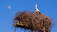 Konačno jedna domaća kompanija kojoj je stvarno stalo do zaštite okoliša! Evo što točno rade kako bi osigurali dugoročnu održivost