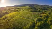 Vodimo vas na izlet u regiju Lijepe naše koja će vas oduševiti na svakom koraku i usput donosimo recept za vinogradarski ćevap koji morate probati!