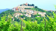 Motovun Film Festival otvara film 'Lovci na tartufe'