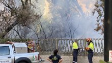 [FOTO] Italija se bori s požarima u zaštićenim područjima, još uvijek bukti i u Turskoj