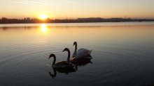 Kako će lijepo vrijeme utjecati na ishod izbora?