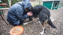 Osječki volonteri Udruge Pobjede imaju važnu obavijest: Starta ovogodišnje 'kalendarenje', a glavnu ulogu imaju - psi