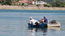 Zbog prodora slane vode visoko u Neretvi pojavljuju se lignje, hobotnice i raže, a ova promjena može ugroziti endemske vrste