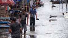 More raste sve brže, do 2050. bit će ugrožene stotine milijuna ljudi