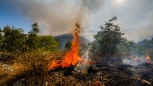 Požar na Biokovu širi se kroz borovu šumu i makiju