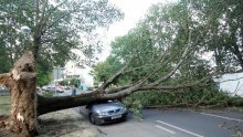 Vjetar u Zagrebu srušio 111 stabala, šteta 25.000 kuna