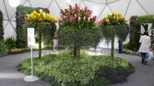 Na zagrebačkom Bundeku otvoren Floraart 2022. na kojem možete vidjeti 100 tisuća sadnica