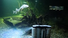 [FOTO] Karlovačka AquatiKa predstavila prvi robot perač akvarija  - traži se ime