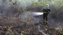 Veliki požar kod Novigrada lokaliziran, izgorjelo 50-ak hektara šume i raslinja