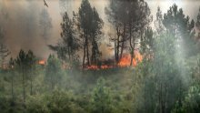 [FOTO] Šumski požari bjesne jugozapadom Francuske, evakuirane tisuće turista