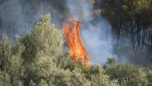 Lokaliziran požar kod Muća, izgorjelo 30 hektara niskog raslinja