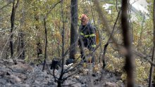 Gori iznad Brela na Biokovu: Zbog vjetra ne može intervenirati helikopter, vatrogasci krenuli pješke