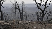 [FOTO/VIDEO] 'Vatreni tornado' poharao sjeveroistok Alžira: Poginulo 38 ljudi, neki su ostali zarobljeni u vatrenom obruču u parku prirode