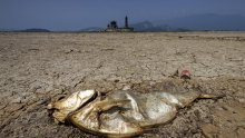 Glavni tajnik UN-a upozorio: 'Nijedna ekonomija nije pošteđena klimatske krize'