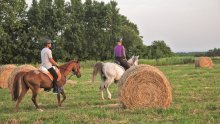 Brodsko-posavska županija: tko kaže da je Slavonija samo ravnica?!