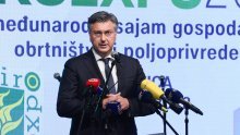 Plenković o upravljanju Inom: 'Moramo staviti sve karte na stol, ovo više ovako ne ide!'