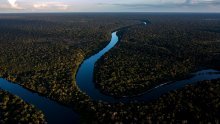 Nakon tri godine planiranja, znanstvenici napokon stigli do najvišeg stabla u Amazoniji