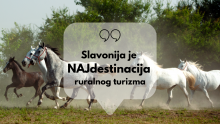 Napuni baterije u NAJ destinaciji ruralnog turizma – Slavonija te zove u goste