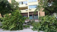 Bura lomila stabla, planuli i novi požari