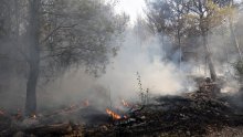 Neugašena vatra, opušci i staklo najčešći okidači ljetnih šumskih požara