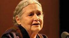 Vodič kroz književnost Doris Lessing