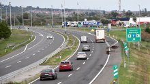 Pas uočen na autocesti A1, divlja svinja na A3